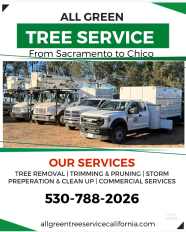 Gallery All Green Tree Service