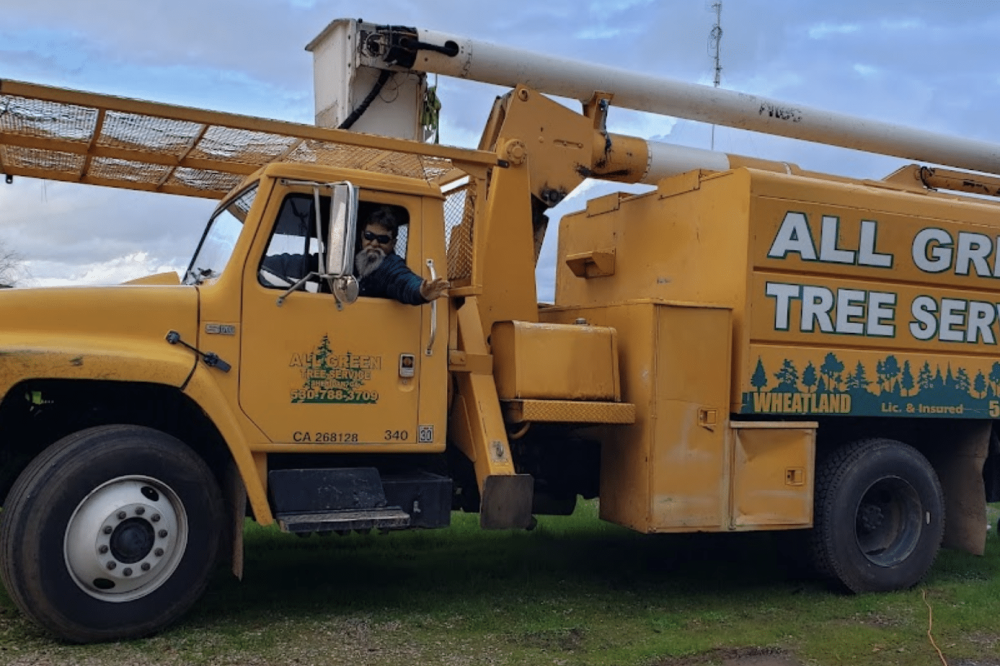All Green Tree Service boom truck used for professional tree work